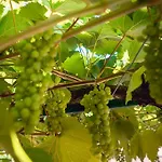 شقة Avec Terrasse ليون