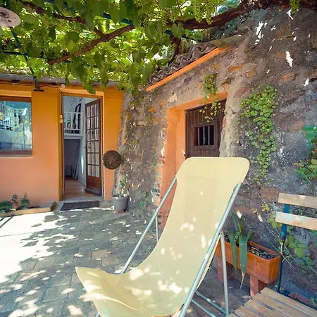 Avec Terrasse